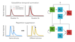 Deep predictive coding networks partly capture neural signatures of short-term temporal adaptation in human visual cortex