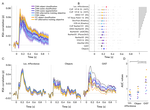 Temporal misalignment in scene perception: Divergent representations of locomotive action affordances in human brain responses and DNNs