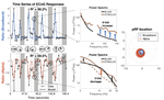 Precise Spatial Tuning of Visually Driven Alpha Oscillations in Human Visual Cortex