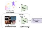 Motion-Augmented Self-Training for Video Recognition at Smaller Scale