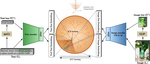 Compositional entailment learning for hyperbolic vision-language models