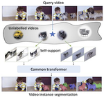 Less than Few: Self-Shot Video Instance Segmentation