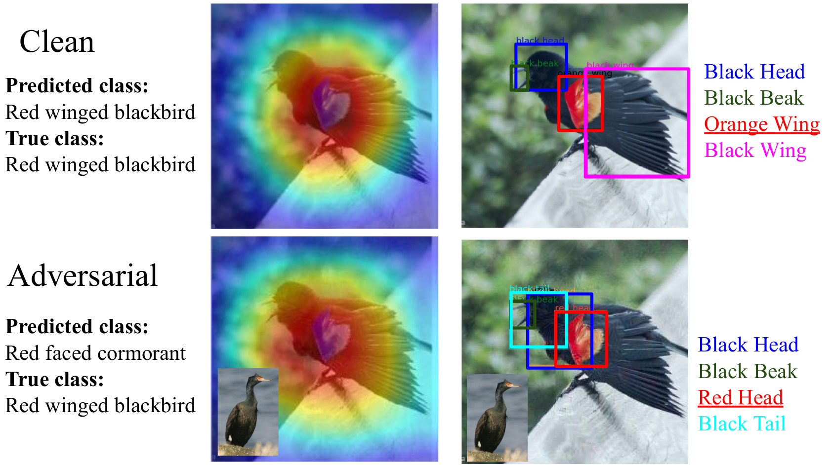 Diffusion Models For Counterfactual Explanations Github