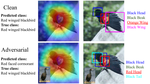 Counterfactual attribute-based visual explanations for classification