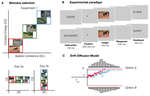 Low‐level image statistics in natural scenes infuence perceptual decision‐making