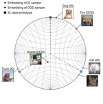 Balanced Hyperbolic Embeddings Are Natural Out-of-Distribution Detectors