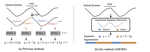 Amortized Equation Discovery in Hybrid Dynamical Systems