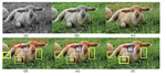 Pixel-level Semantics Guided Image Colorization